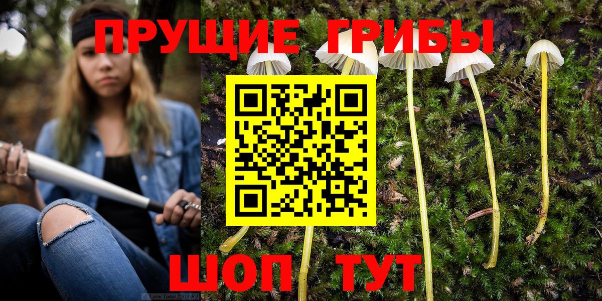 Зеленодольск  Псилоцибиновые грибы MAGIC MUSHROOMS  сколько стоит  Вход с VPN 